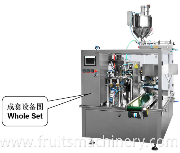 Liquid Paste Bag-given Automatic Packing Machine